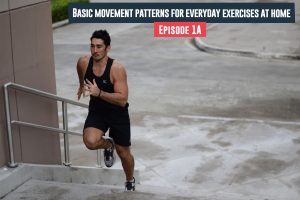 Basic Movement Patterns