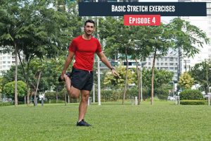 Basic Stretch Exercises